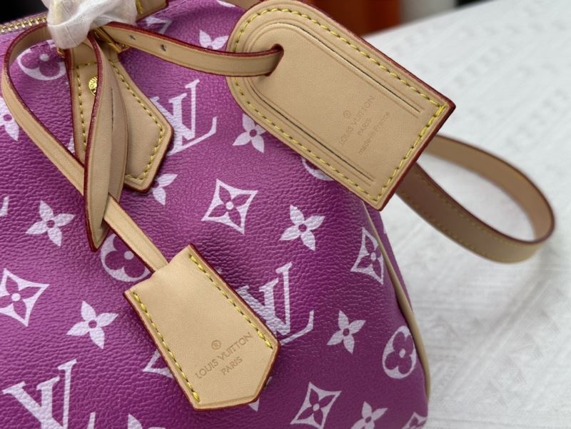 Louis Vuitton Speedy Bags